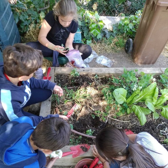2019_04_Quinto en el huerto_CEIP FDLR_Las Rozas 1