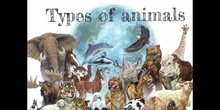 PRIMARIA - TERCERO - VERTEBRATE AND INVERTEBRATE ANIMALS - NATURAL SCIENCE - ANDREA, CRIS A, LUCÍA, INMA - FORMACIÓN