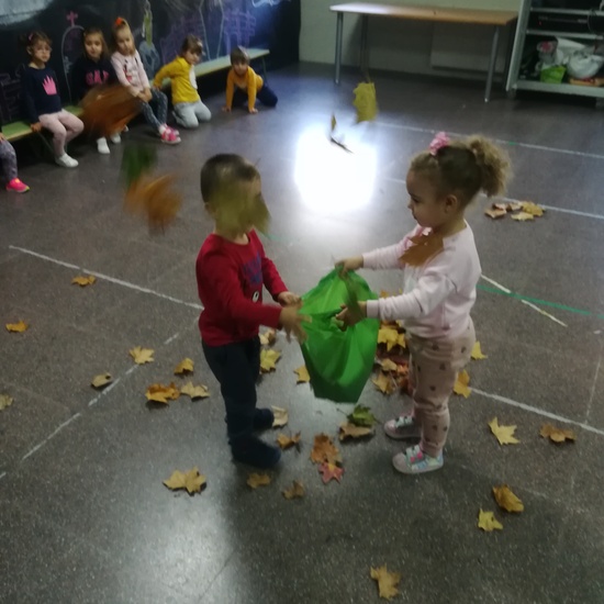 Día 05 de noviembre 7