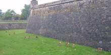 Muralla en fortaleza de Jaca, Huesca