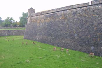 Muralla en fortaleza de Jaca, Huesca