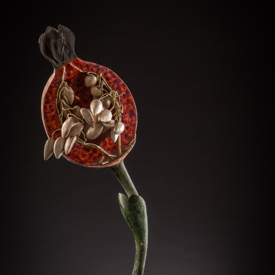 IES_ISABELLACATOLICA_BIOLOGIA_148