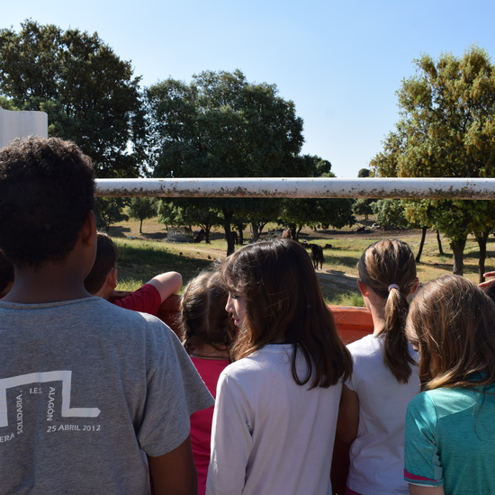 Salida en bici 4º de Primaria 3