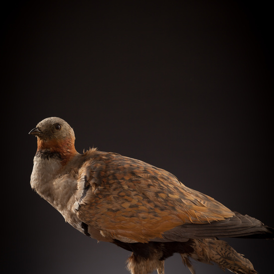 IES_CERVANTES_BIOLOGIA_047