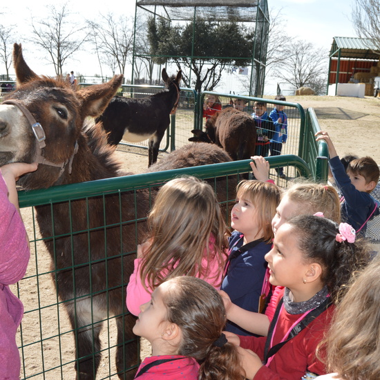 GRANJA ESCUELA ALBITANA 2018 46