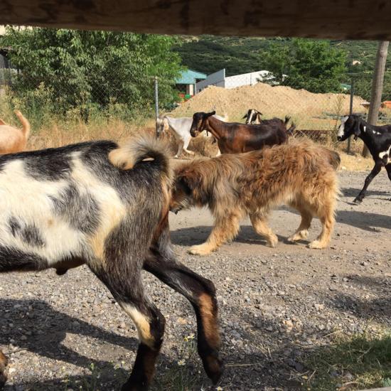 Viaje 6º (segundo día)