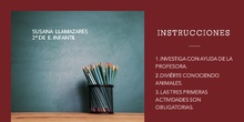 INSTRUCCIONES TAREA 5