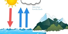 P2_NS The water cycle