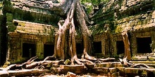 Raíces sobre templo, Angkor, Camboya
