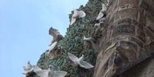 Detalle del palomar, Sagrada Familia, Barcelona
