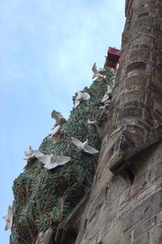 Detalle del palomar, Sagrada Familia, Barcelona