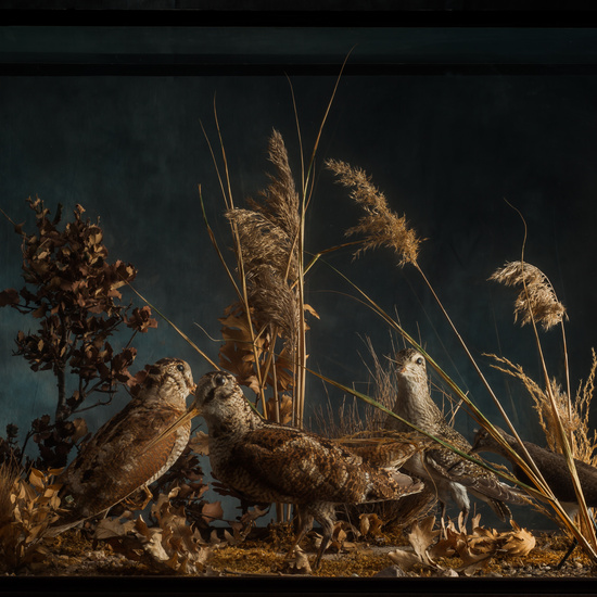 IES_SANISIDRO_BIOLOGIA_144