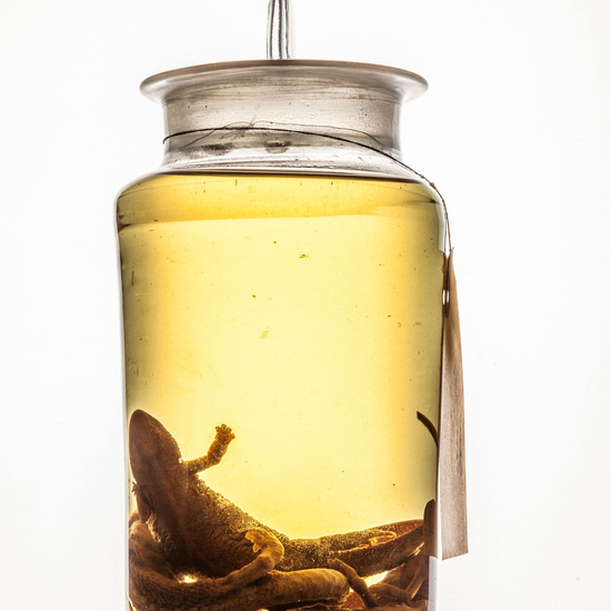 IES_SANISIDRO_MUSEO_BOTES_021