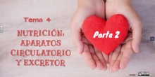Tema 4.2 -Vasos sanguíneos y corazón<span class="educational" title="Contenido educativo"><span class="sr-av"> - Contenido educativo</span></span>