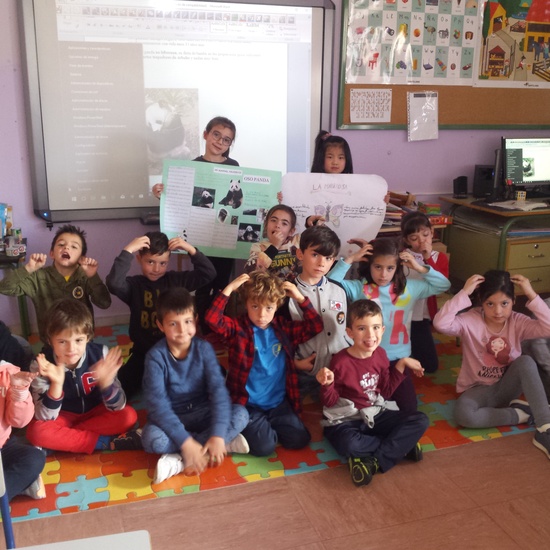 Exposición Toro, Mariposa y Oso Panda 6