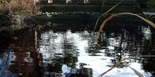 Lago artificial, Parque del Capricho, Madrid