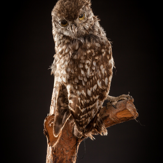 IES_CERVANTES_BIOLOGIA_020