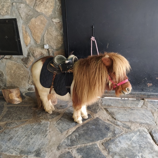 Granja de los cuentos  20