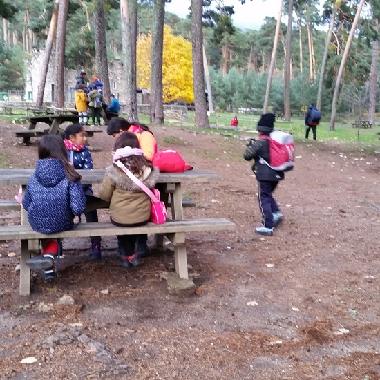 MANZANARES EL REAL 15