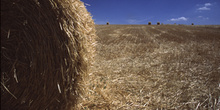 Paja recojida en el campo, Segovia, Castilla y León