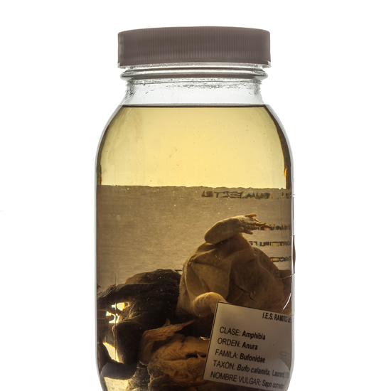 IES_RAMIRODEMAEZTU_BIOLOGIA_066