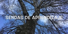 INFANTIL - 3-4 B - AÑOS - SENDAS DE APRENDIZAJE-ACTIVIDAD