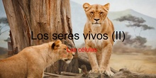 Tema 1 Los seres vivos II (las células)
