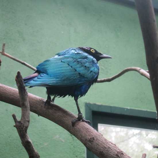 Granja Escuela Educación Infantil Curso 2017-18 11