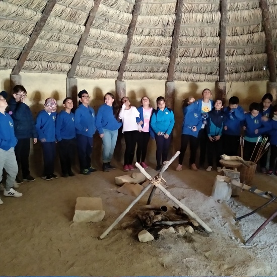 Arqueopinto 4º 19 2