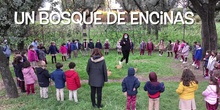 PROYECTO BOSQUE DE BELLOTAS 1º A