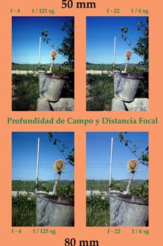 Profundidad de Campo y Distancia Focal