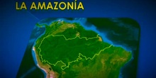 La Amazonía