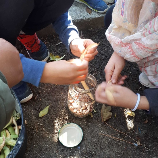 2019_11_08_4º empieza el mes de noviembre de forma muy ecológica_CEIP FDLR_Las Rozas 2