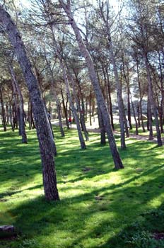 Vía ciclista de Colmenar Viejo; Madrid