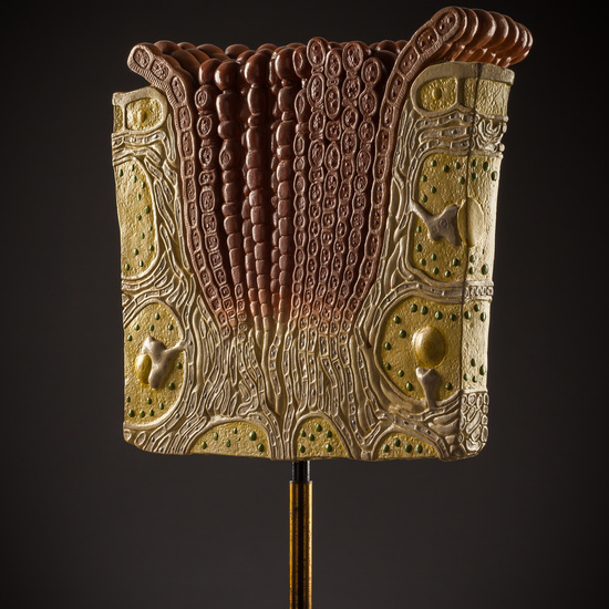 IES_SANISIDRO_BIOLOGIA_240