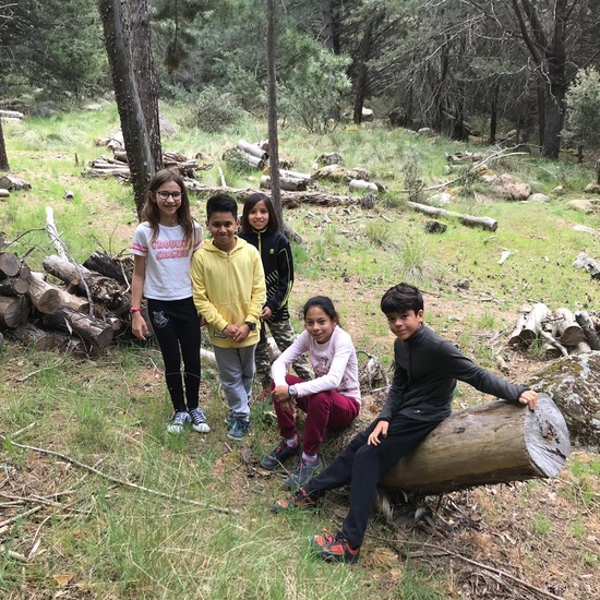 NIÑAS/OS DE 5º. NATURALEZA VIVA EN LA PEDRIZA. HOSTOS POR EL PLANETA 22