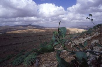 Paisaje canario, Canarias