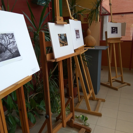 semana proyectos vallecas (16)