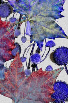 Hojas fantasía sobre fondo de sámaras y trama