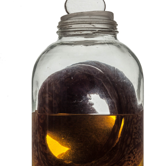 IES_RAMIRODEMAEZTU_BIOLOGIA_087