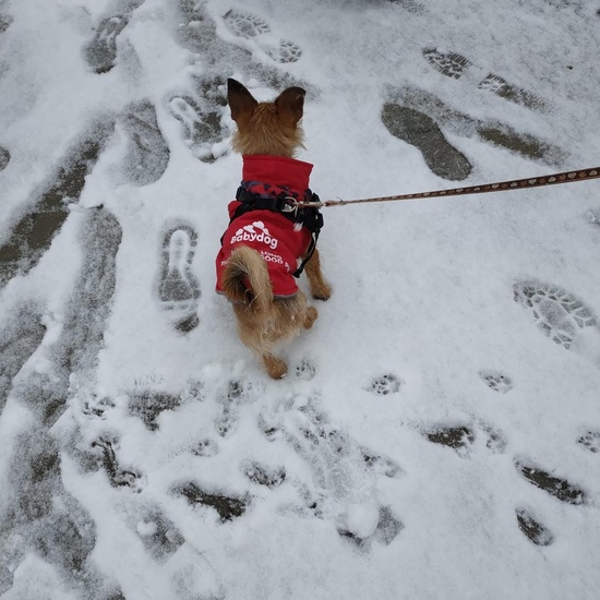 Fotografías Filomena 6