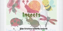 P2_NS Insects A