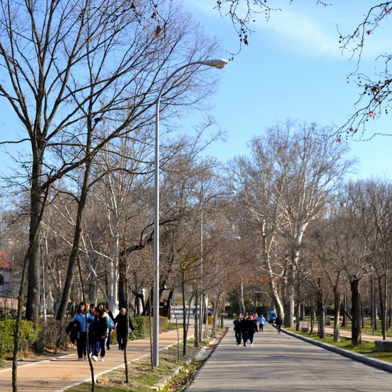 DÍA DE LA PAZ 2018_3 15