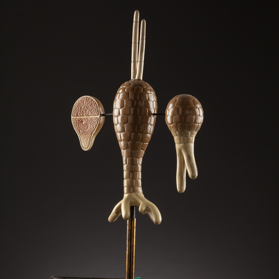 IES_SANISIDRO_BIOLOGIA_157