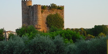 Castillo de la Coracera en San Martín de Valdeiglesias