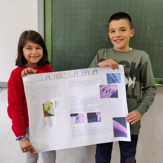 Fotos trabajos de Ciencias Naturales 1