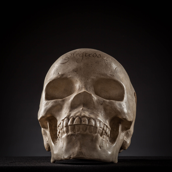 IES_SANISIDRO_MUSEO_Craneos_019