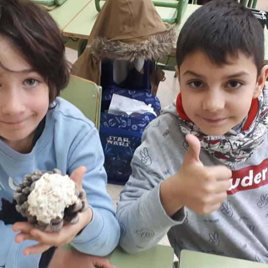 2019_01_27_4º realiza semilleros para pajaros_CEIP FDLR_Las Rozas 7