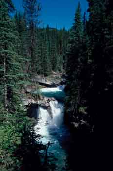 Corriente de agua en las Montañas Rocosas