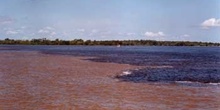 Rio Negro y Solimoes, Brasil